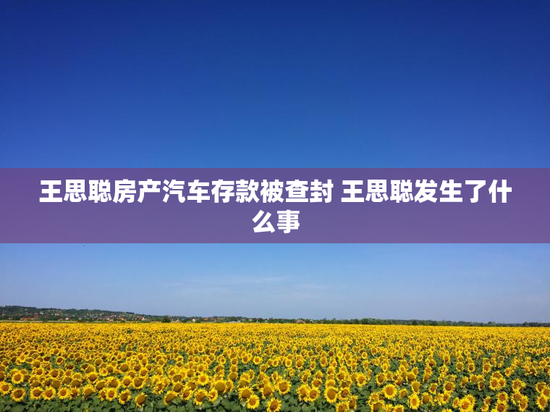 王思聪房产汽车存款被查封 王思聪发生了什么事