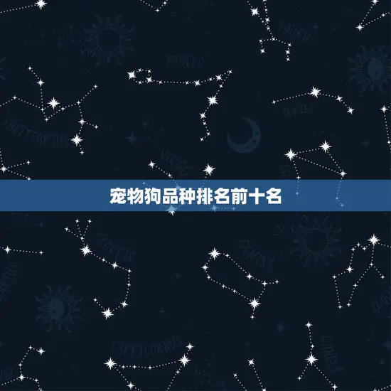 宠物狗品种排名前十名