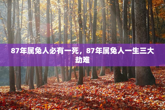 87年属兔人必有一死，87年属兔人一生三大劫难