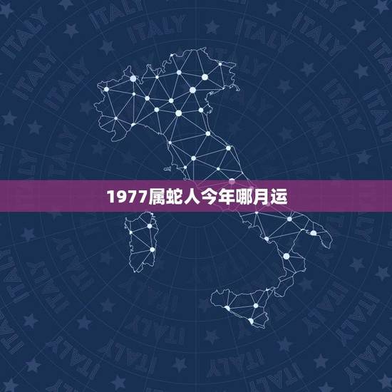 1977属蛇人今年哪月运(星象指引财运亨通)