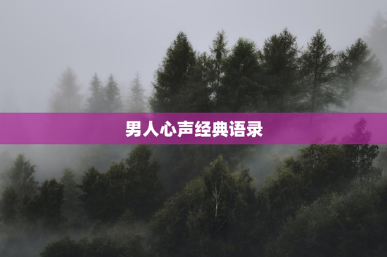 男人心声经典语录