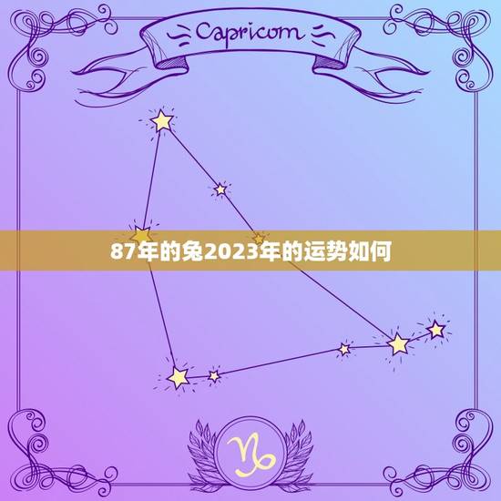 87年的兔2023年的运势如何(未来三年财运亨通但需注意健康问题)