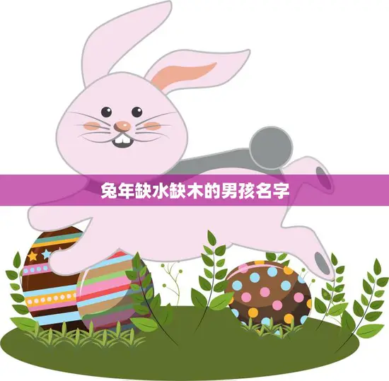 兔年缺水缺木的男孩名字(寻找生命之源)