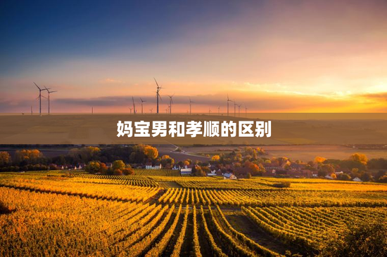 妈宝男和孝顺的区别