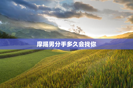 摩羯男分手多久会找你
