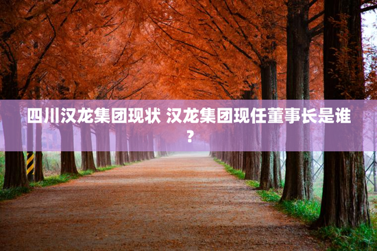 四川汉龙集团现状 汉龙集团现任董事长是谁？