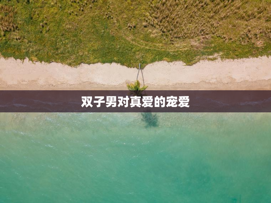 双子男对真爱的宠爱