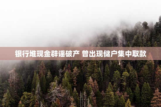 银行堆现金辟谣破产 曾出现储户集中取款