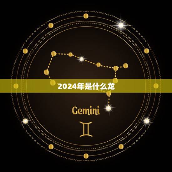 2024年是什么龙
