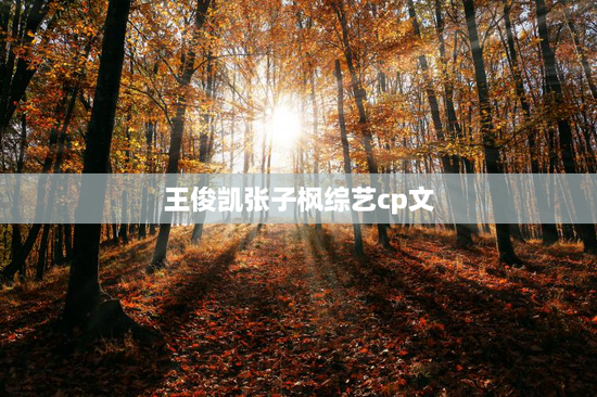 王俊凯张子枫综艺cp文