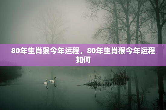 80年生肖猴今年运程，80年生肖猴今年运程如何