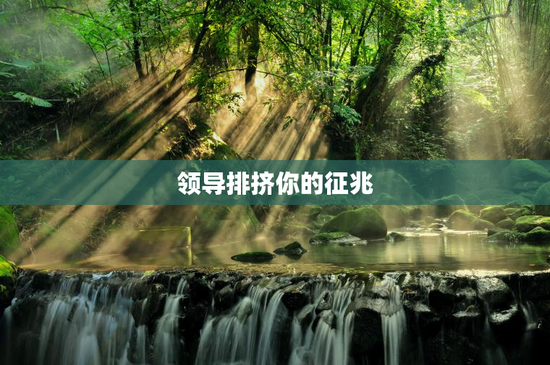 领导排挤你的征兆