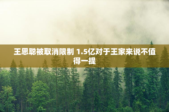 王思聪被取消限制 1.5亿对于王家来说不值得一提