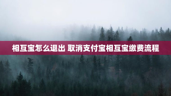 相互宝怎么退出 取消支付宝相互宝缴费流程