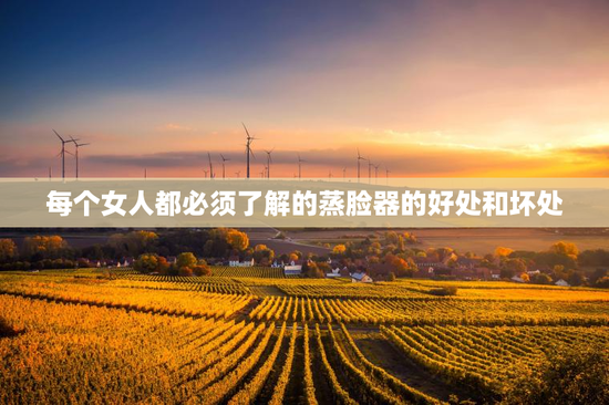 每个女人都必须了解的蒸脸器的好处和坏处