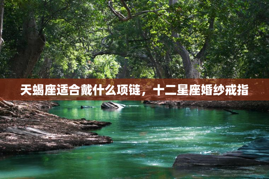 天蝎座适合戴什么项链，十二星座婚纱戒指