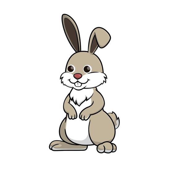 生肖兔女和蛇男合不合财(如何避免财务矛盾)