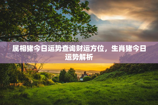 属相猪今日运势查询财运方位，生肖猪今日运势解析