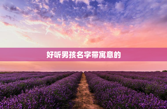 好听男孩名字带寓意的