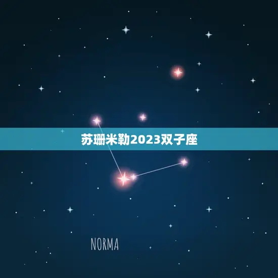 苏珊米勒2023双子座