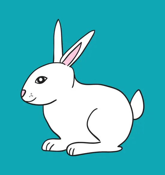 兔女和蛇男婚配怎么样呢(异类组合的爱情真的能长久吗)