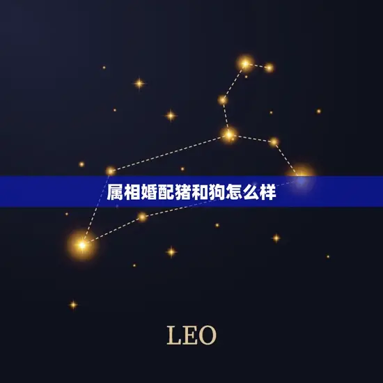 属相婚配猪和狗怎么样