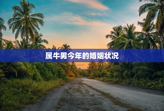 属牛男今年的婚姻状况，属牛男2023年婚姻
