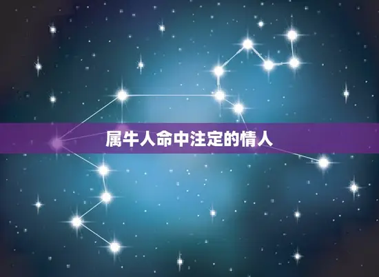 属牛人命中注定的情人