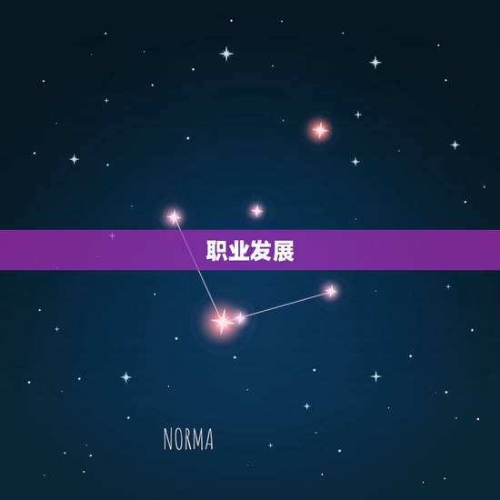 职业发展