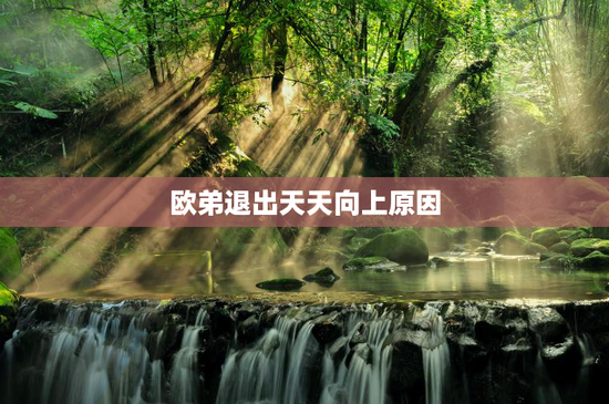 欧弟退出天天向上原因
