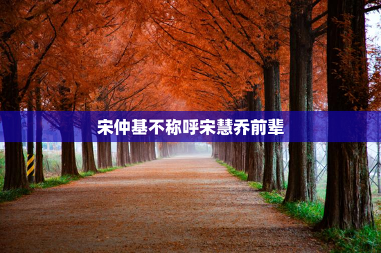 宋仲基不称呼宋慧乔前辈