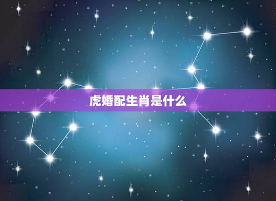 虎婚配生肖是什么