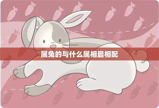 属兔的与什么属相最相配(如何选择最佳配偶)