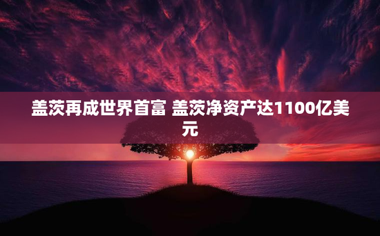 盖茨再成世界首富 盖茨净资产达1100亿美元