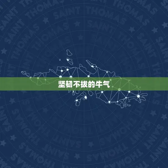 坚韧不拔的牛气