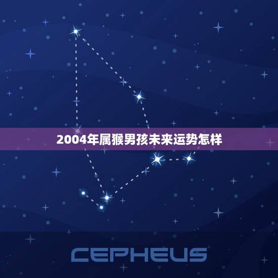2004年属猴男孩未来运势怎样(猴年大吉财运亨通)