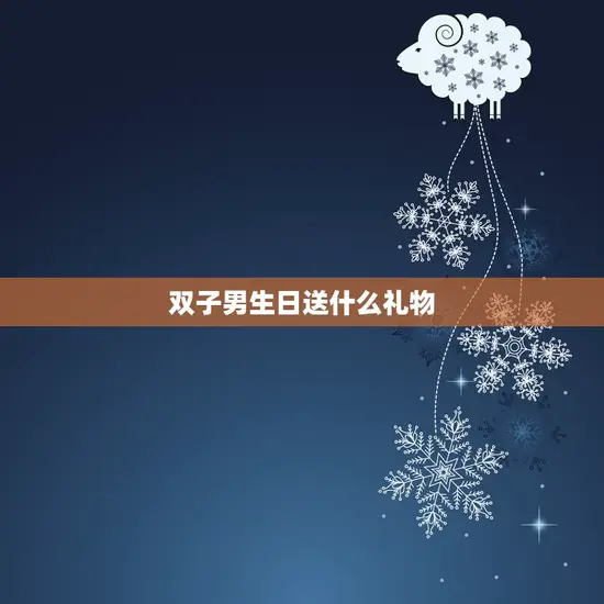 双子男生日送什么礼物