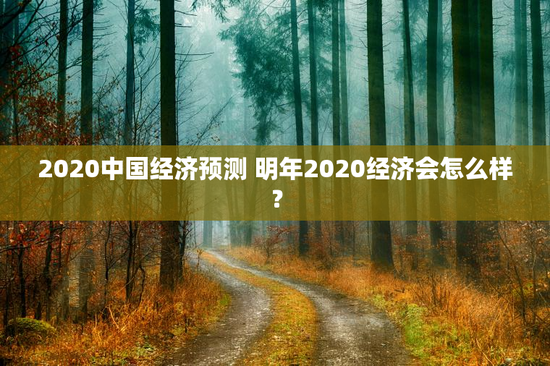 2020中国经济预测 明年2020经济会怎么样？