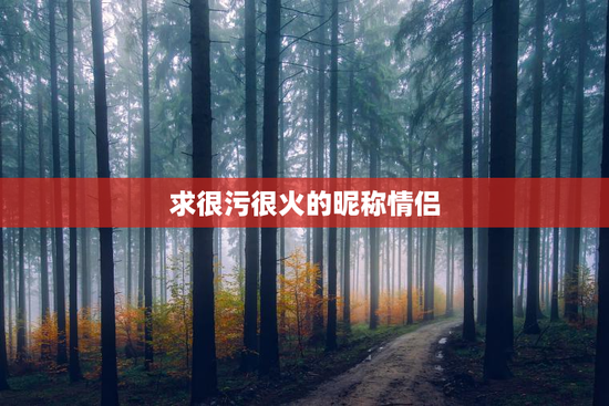 求很污很火的昵称情侣