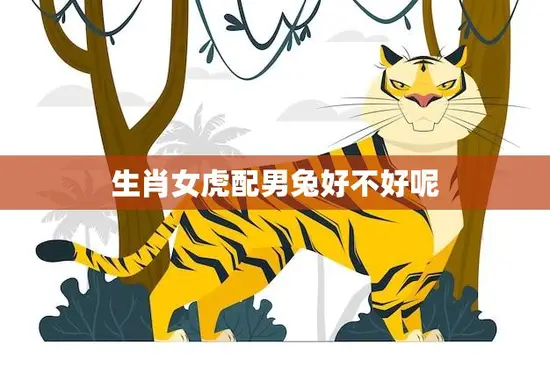 生肖女虎配男兔好不好呢(如何看待这种组合)