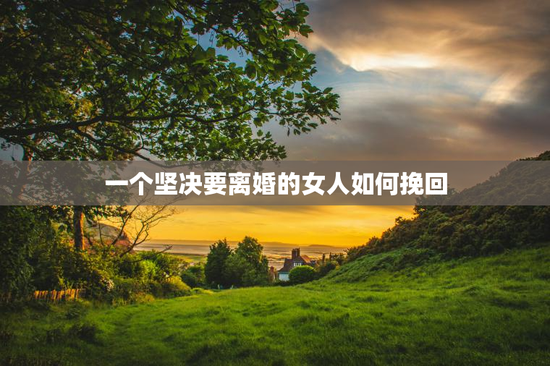 一个坚决要离婚的女人如何挽回，一个坚决要离婚的女人如何挽回她