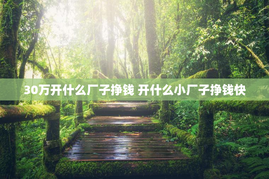 30万开什么厂子挣钱 开什么小厂子挣钱快