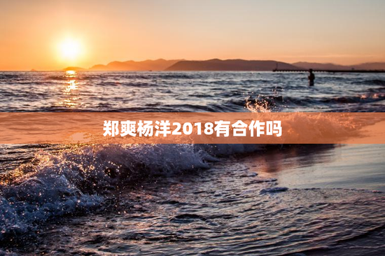 郑爽杨洋2018有合作吗