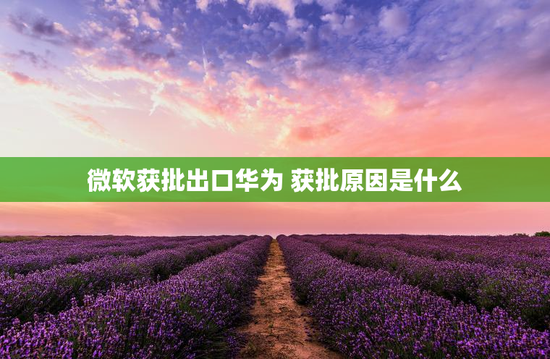 微软获批出口华为 获批原因是什么