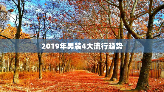 2019年男装4大流行趋势