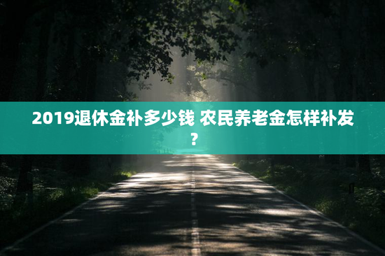 2019退休金补多少钱 农民养老金怎样补发？