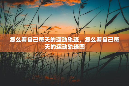 怎么看自己每天的运动轨迹，怎么看自己每天的运动轨迹图