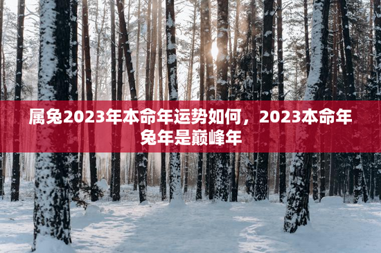 属兔2023年本命年运势如何，2023本命年兔年是巅峰年