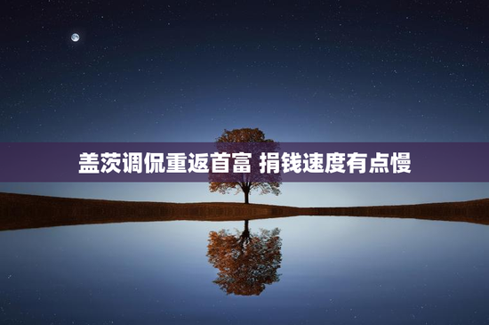 盖茨调侃重返首富 捐钱速度有点慢