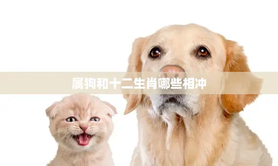 属狗和十二生肖哪些相冲(十二生肖中狗与哪些动物不和谐)